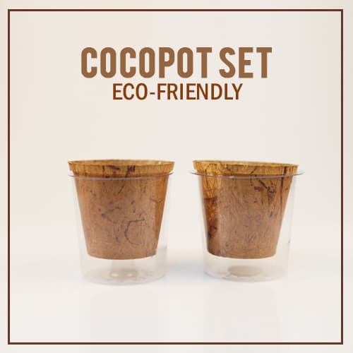 Eco friendly natural coconut coir 